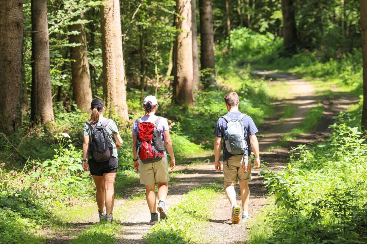 Wandern Augsburger Land